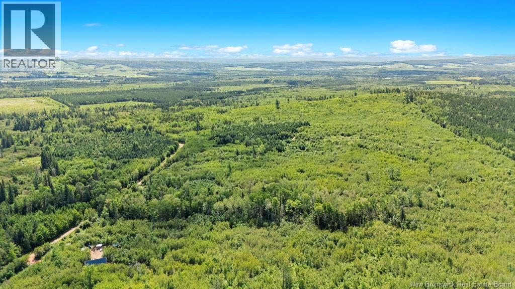 62 Lewiston Road, Cornhill, New Brunswick  E4Z 5H7 - Photo 14 - NB146189