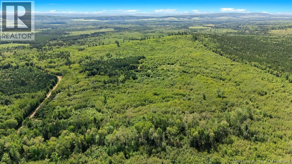 62 Lewiston Road, Cornhill, New Brunswick  E4Z 5H7 - Photo 15 - NB146189