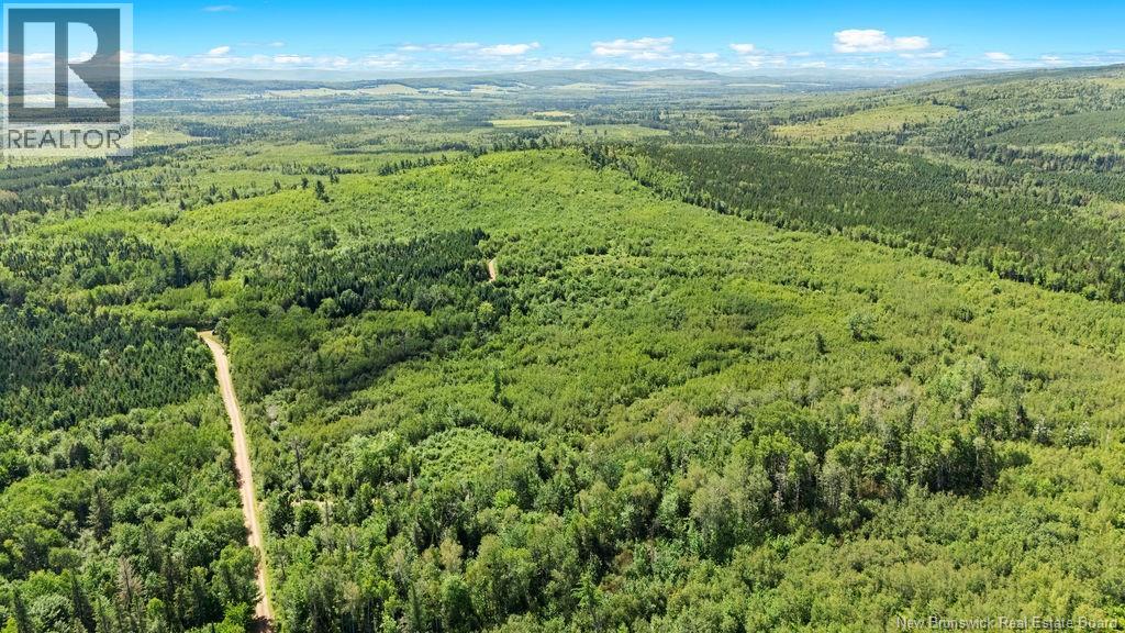 62 Lewiston Road, Cornhill, New Brunswick  E4Z 5H7 - Photo 16 - NB146189