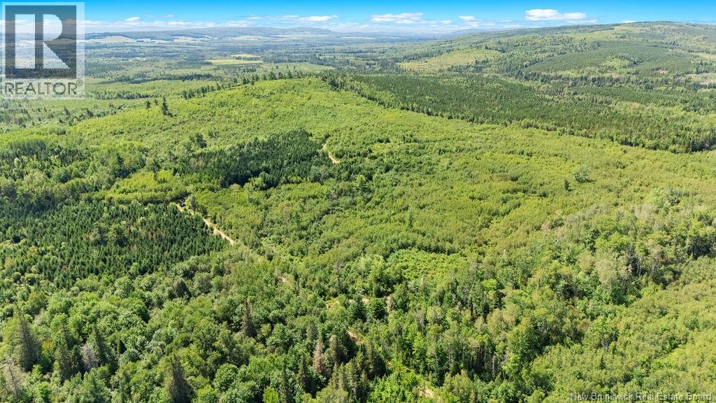62 Lewiston Road, Cornhill, New Brunswick  E4Z 5H7 - Photo 17 - NB146189