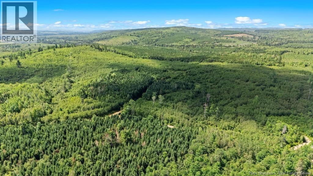 62 Lewiston Road, Cornhill, New Brunswick  E4Z 5H7 - Photo 18 - NB146189