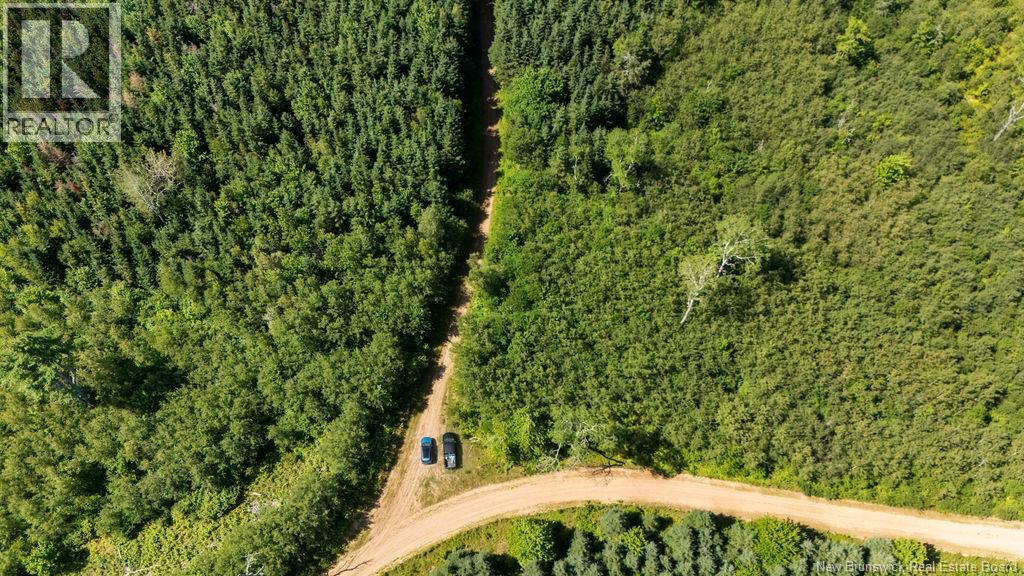 62 Lewiston Road, Cornhill, New Brunswick  E4Z 5H7 - Photo 19 - NB146189