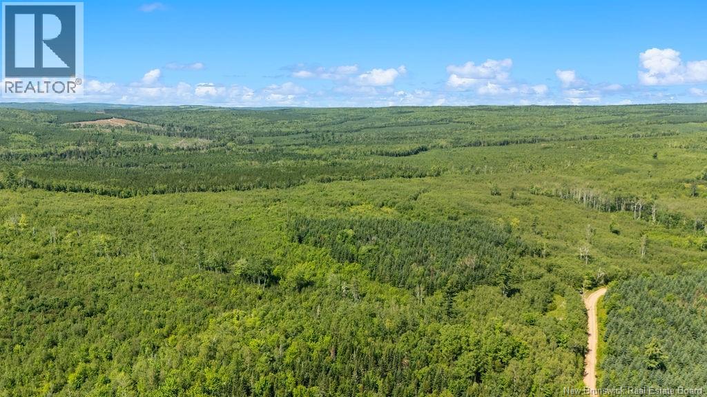 62 Lewiston Road, Cornhill, New Brunswick  E4Z 5H7 - Photo 2 - NB146189