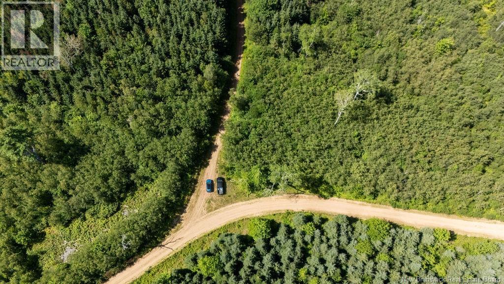 62 Lewiston Road, Cornhill, New Brunswick  E4Z 5H7 - Photo 20 - NB146189