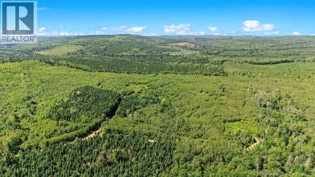 62 Lewiston Road, Cornhill, New Brunswick  E4Z 5H7 - Photo 21 - NB146189