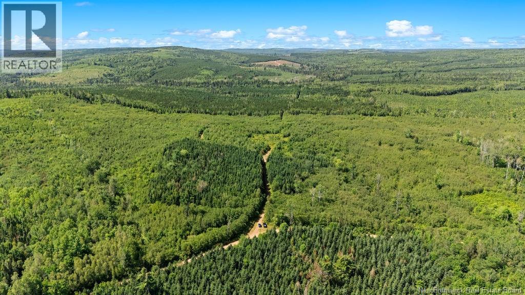 62 Lewiston Road, Cornhill, New Brunswick  E4Z 5H7 - Photo 22 - NB146189