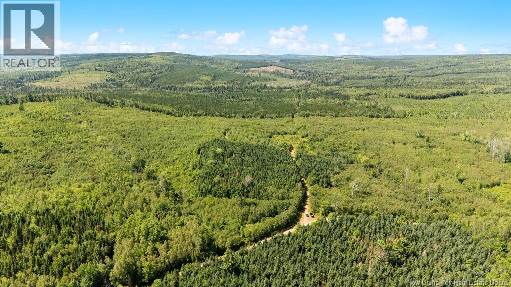 62 Lewiston Road, Cornhill, New Brunswick  E4Z 5H7 - Photo 23 - NB146189