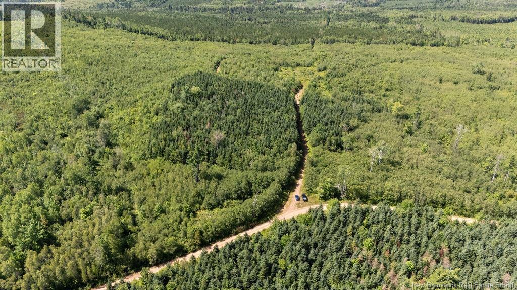 62 Lewiston Road, Cornhill, New Brunswick  E4Z 5H7 - Photo 24 - NB146189