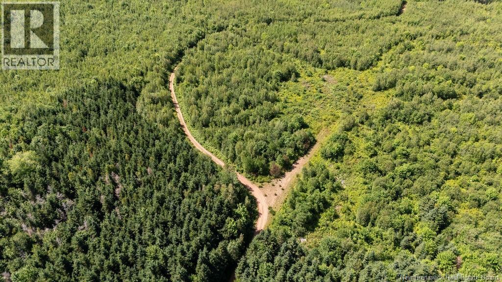 62 Lewiston Road, Cornhill, New Brunswick  E4Z 5H7 - Photo 26 - NB146189