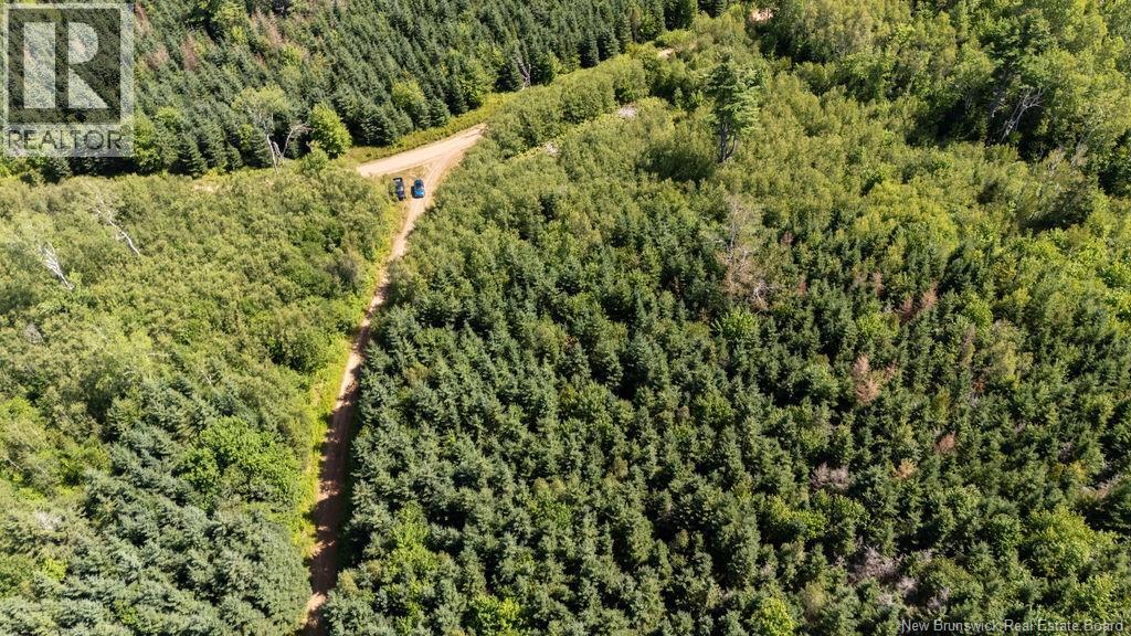 62 Lewiston Road, Cornhill, New Brunswick  E4Z 5H7 - Photo 30 - NB146189