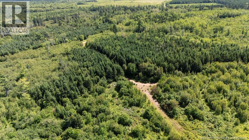 62 Lewiston Road, Cornhill, New Brunswick  E4Z 5H7 - Photo 31 - NB146189