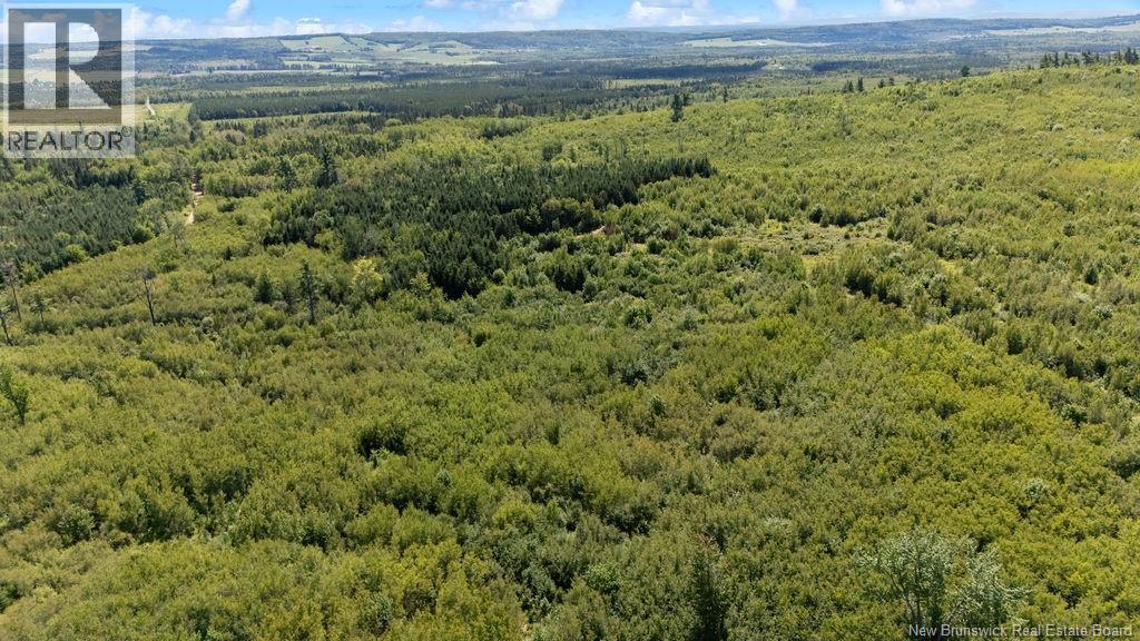 62 Lewiston Road, Cornhill, New Brunswick  E4Z 5H7 - Photo 32 - NB146189