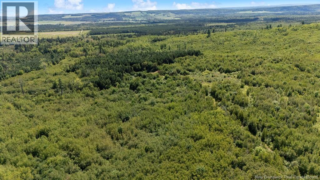 62 Lewiston Road, Cornhill, New Brunswick  E4Z 5H7 - Photo 33 - NB146189
