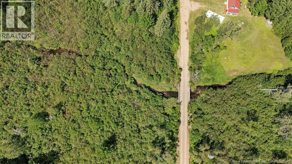 62 Lewiston Road, Cornhill, New Brunswick  E4Z 5H7 - Photo 34 - NB146189