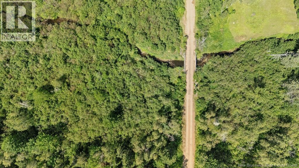 62 Lewiston Road, Cornhill, New Brunswick  E4Z 5H7 - Photo 35 - NB146189