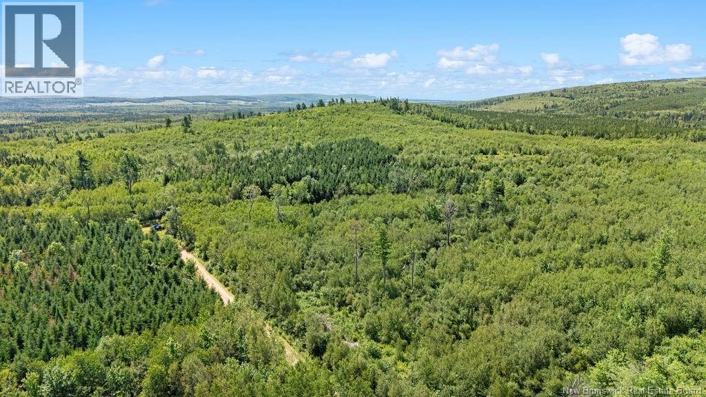 62 Lewiston Road, Cornhill, New Brunswick  E4Z 5H7 - Photo 36 - NB146189