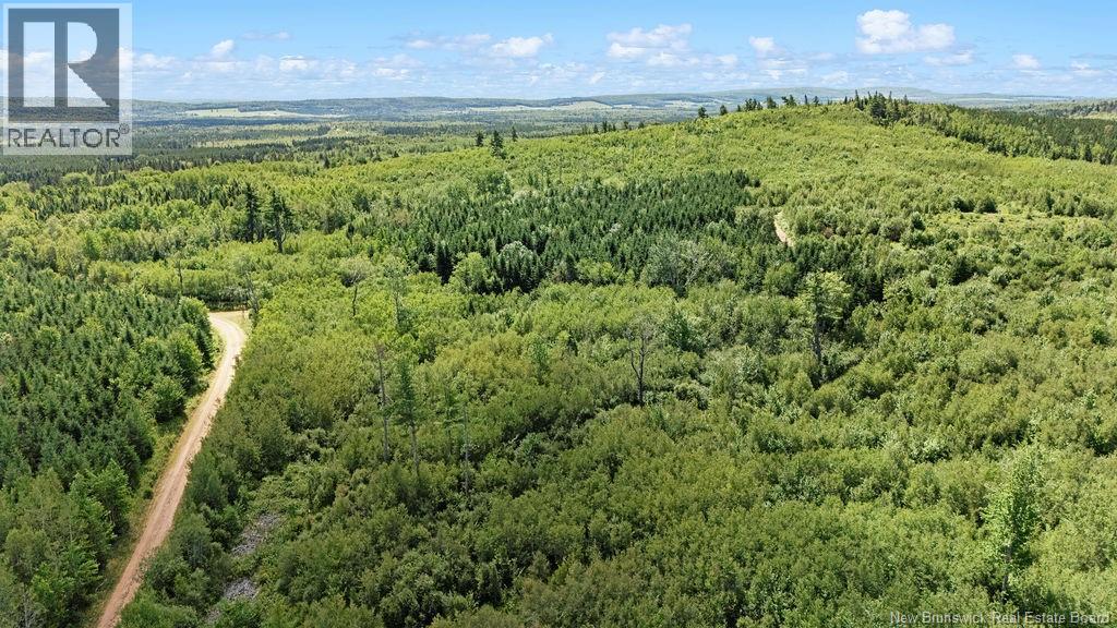 62 Lewiston Road, Cornhill, New Brunswick  E4Z 5H7 - Photo 37 - NB146189