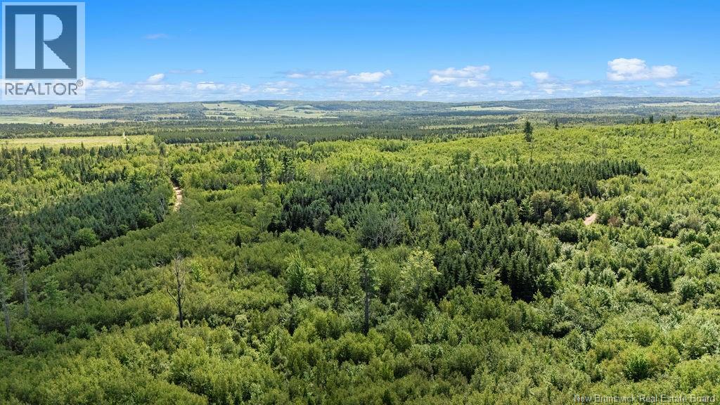 62 Lewiston Road, Cornhill, New Brunswick  E4Z 5H7 - Photo 38 - NB146189