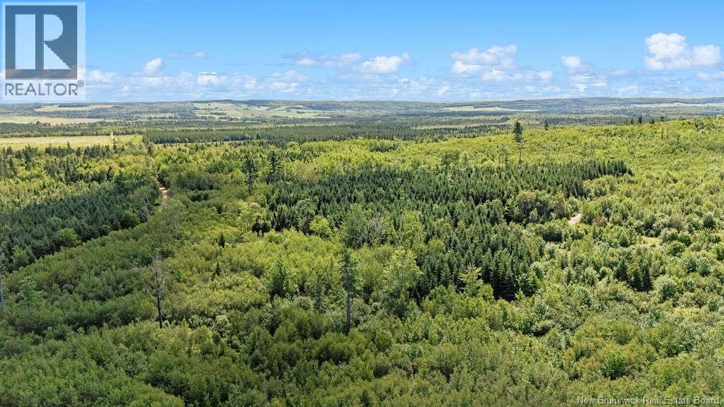 62 Lewiston Road, Cornhill, New Brunswick  E4Z 5H7 - Photo 39 - NB146189