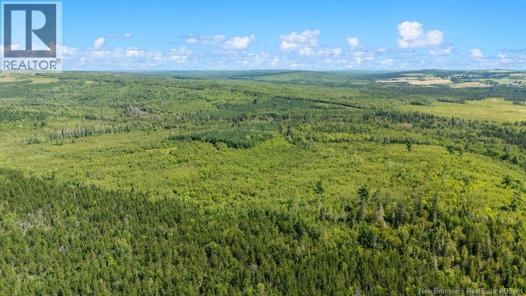 62 Lewiston Road, Cornhill, New Brunswick  E4Z 5H7 - Photo 4 - NB146189