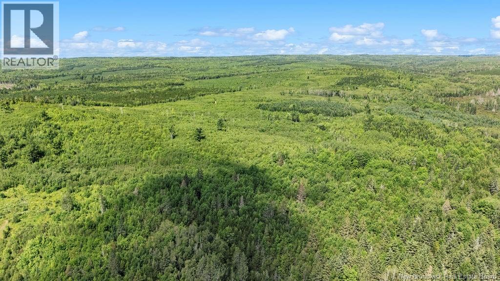 62 Lewiston Road, Cornhill, New Brunswick  E4Z 5H7 - Photo 40 - NB146189