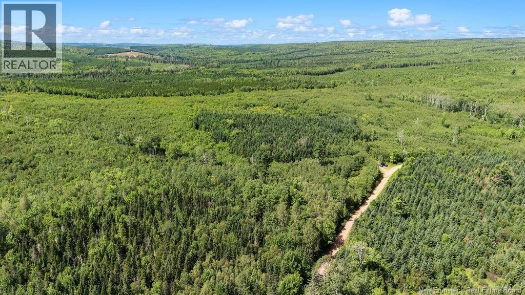 62 Lewiston Road, Cornhill, New Brunswick  E4Z 5H7 - Photo 42 - NB146189