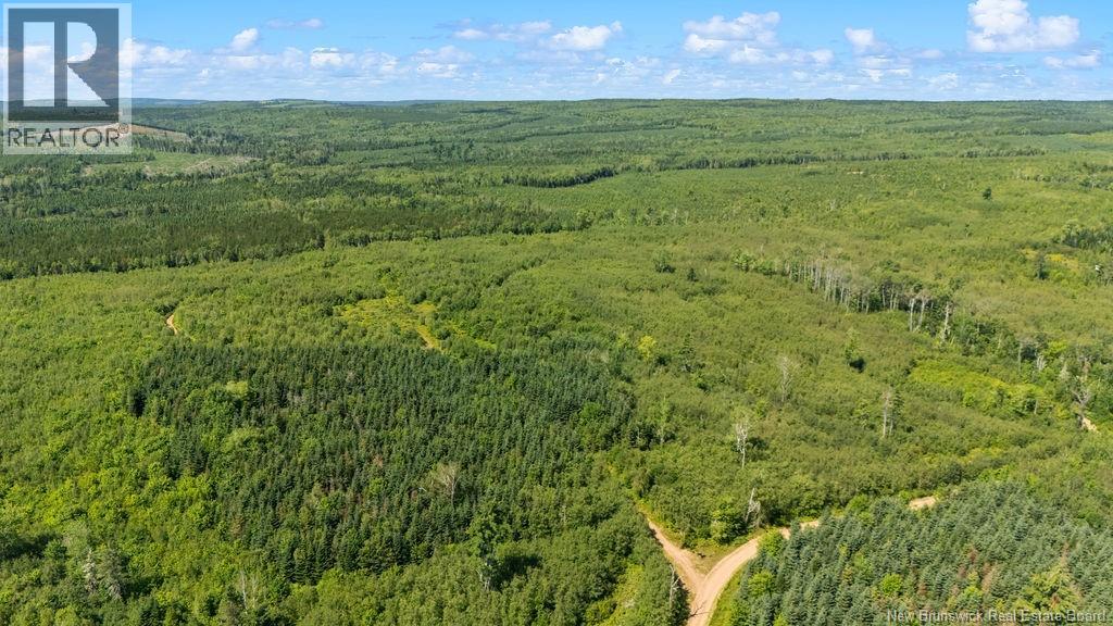 62 Lewiston Road, Cornhill, New Brunswick  E4Z 5H7 - Photo 6 - NB146189