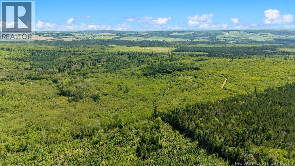 62 Lewiston Road, Cornhill, New Brunswick  E4Z 5H7 - Photo 9 - NB146189