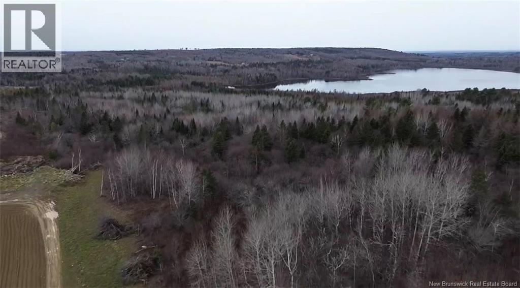 N/a Tobin Road, Elmwood, New Brunswick  W7N 2C6 - Photo 2 - NB146222