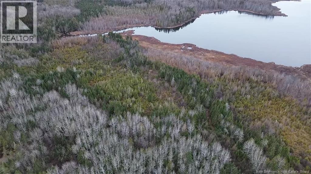 N/a Tobin Road, Elmwood, New Brunswick  W7N 2C6 - Photo 6 - NB146222