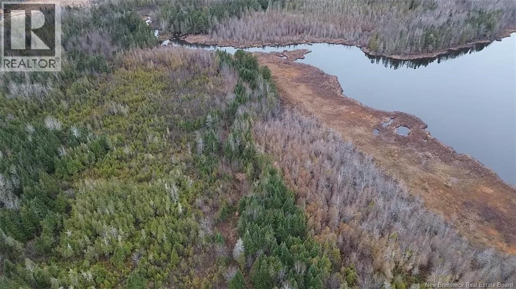 N/a Tobin Road, Elmwood, New Brunswick  W7N 2C6 - Photo 7 - NB146222