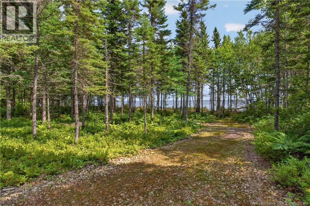 109-6 Grand Dune Shore Road, Barryville, New Brunswick  E9G 4H6 - Photo 19 - NB146205
