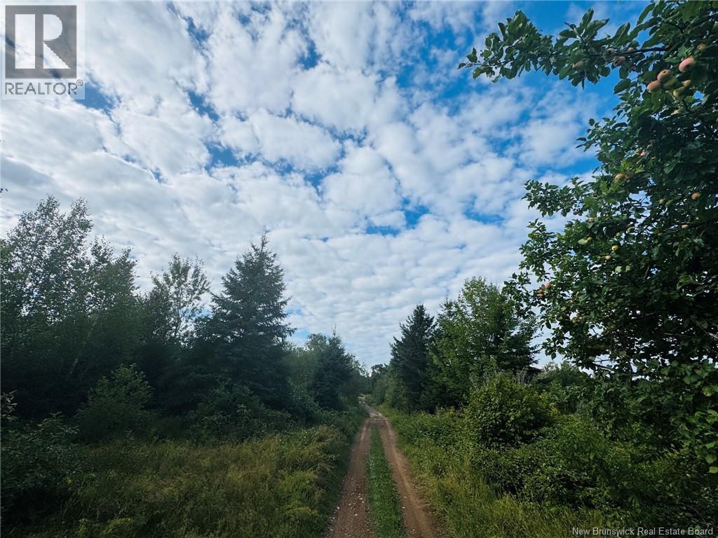 Lot Route 280, Dundee, New Brunswick  E8E 1Y9 - Photo 2 - NB146292