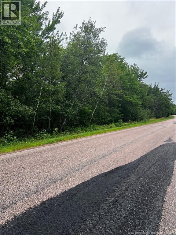 Lot Aboujagane, Memramcook, New Brunswick  E4K 3P5 - Photo 2 - NB146075