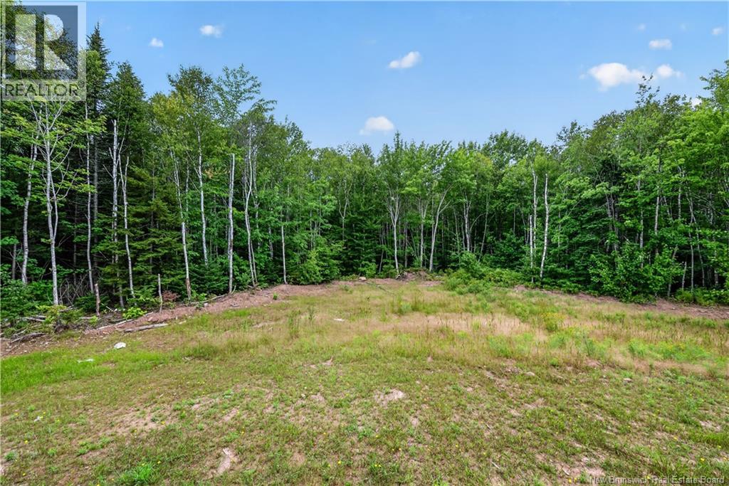 25-26 Roy Scenic Drive, Irishtown, New Brunswick  E1H 2N5 - Photo 48 - NB145320