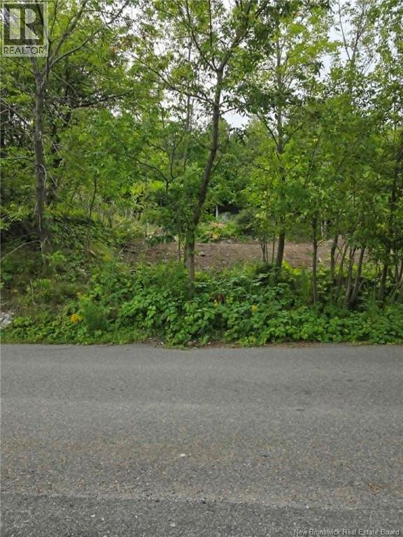 363 Highland Road, Saint John, New Brunswick  E2G 1A5 - Photo 16 - NB146182
