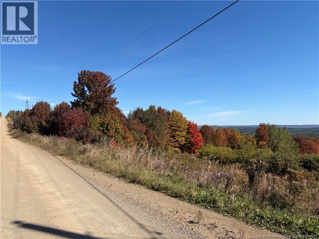 Lot 23-01 Howland Ridge Road, Millville, New Brunswick  E6E 1R3 - Photo 21 - NB146117