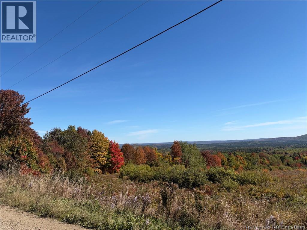 Lot 23-01 Howland Ridge Road, Millville, New Brunswick  E6E 1R3 - Photo 22 - NB146117