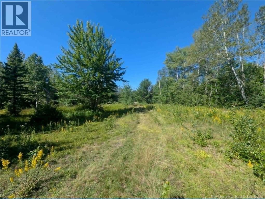5569 Route 134, Allardville, New Brunswick  E8L 1A9 - Photo 1 - NB146434