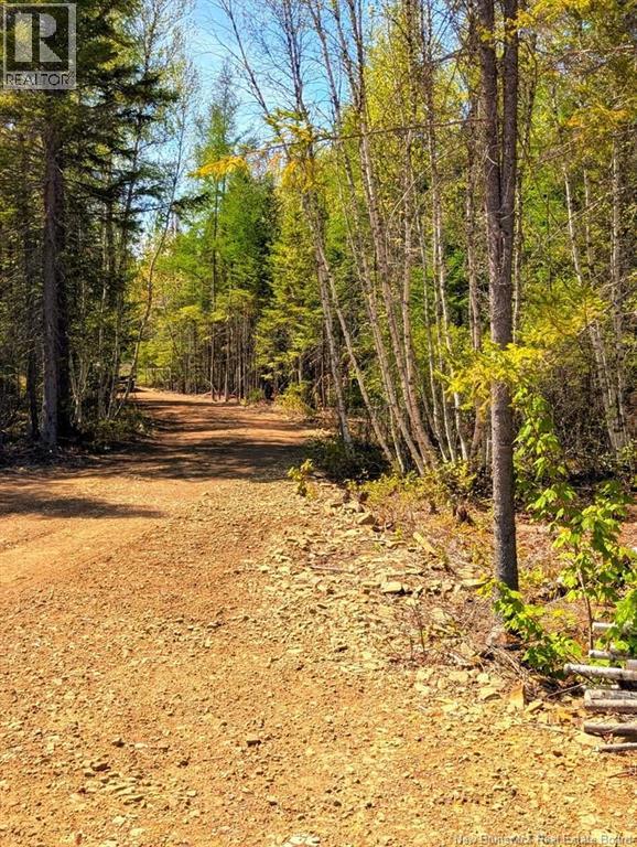 Lot 23-1 Rte 495, Rexton, New Brunswick  E4W 2N1 - Photo 2 - NB146456