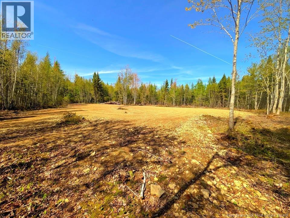 Lot 23-1 Rte 495, Rexton, New Brunswick  E4W 2N1 - Photo 3 - NB146456
