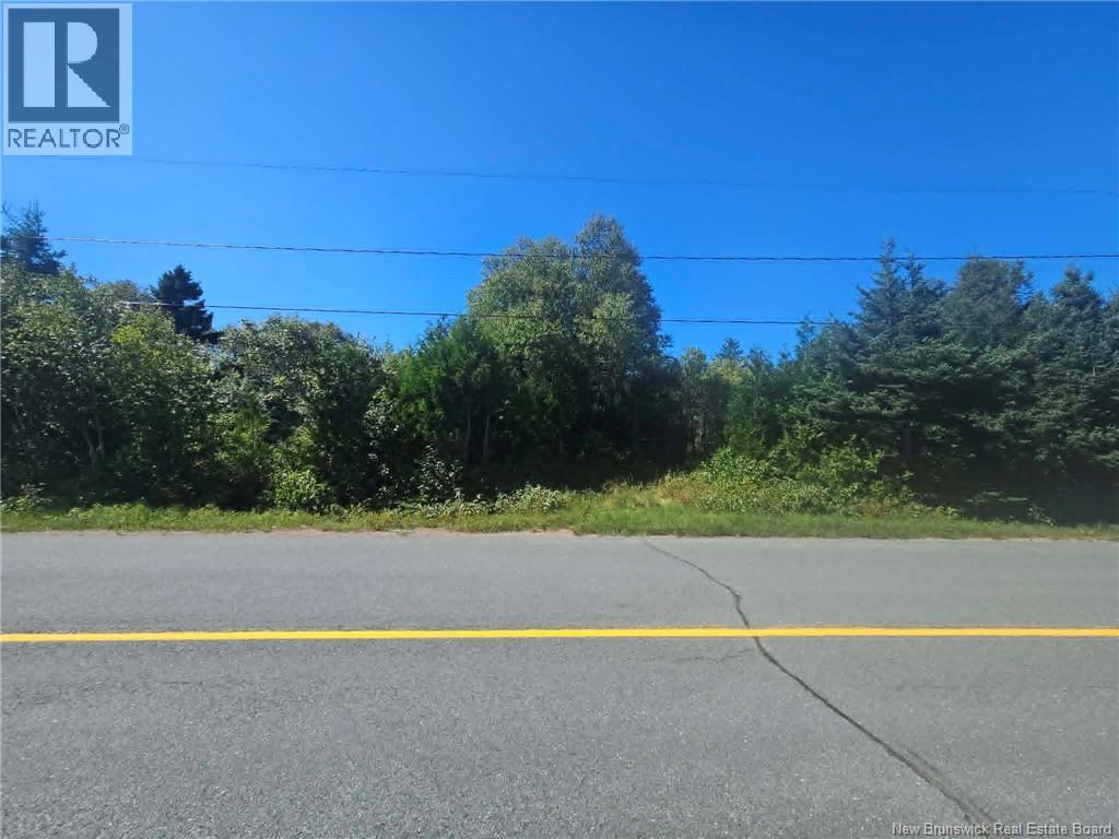7.76 Acres Route 113, Miscou, New Brunswick  E8T 2A1 - Photo 4 - NB146477