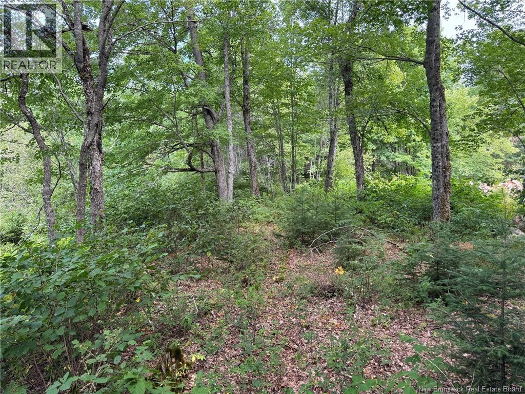 Vacant Lot 750 Route, Valley Road, New Brunswick  E3L 4V1 - Photo 21 - NB146545