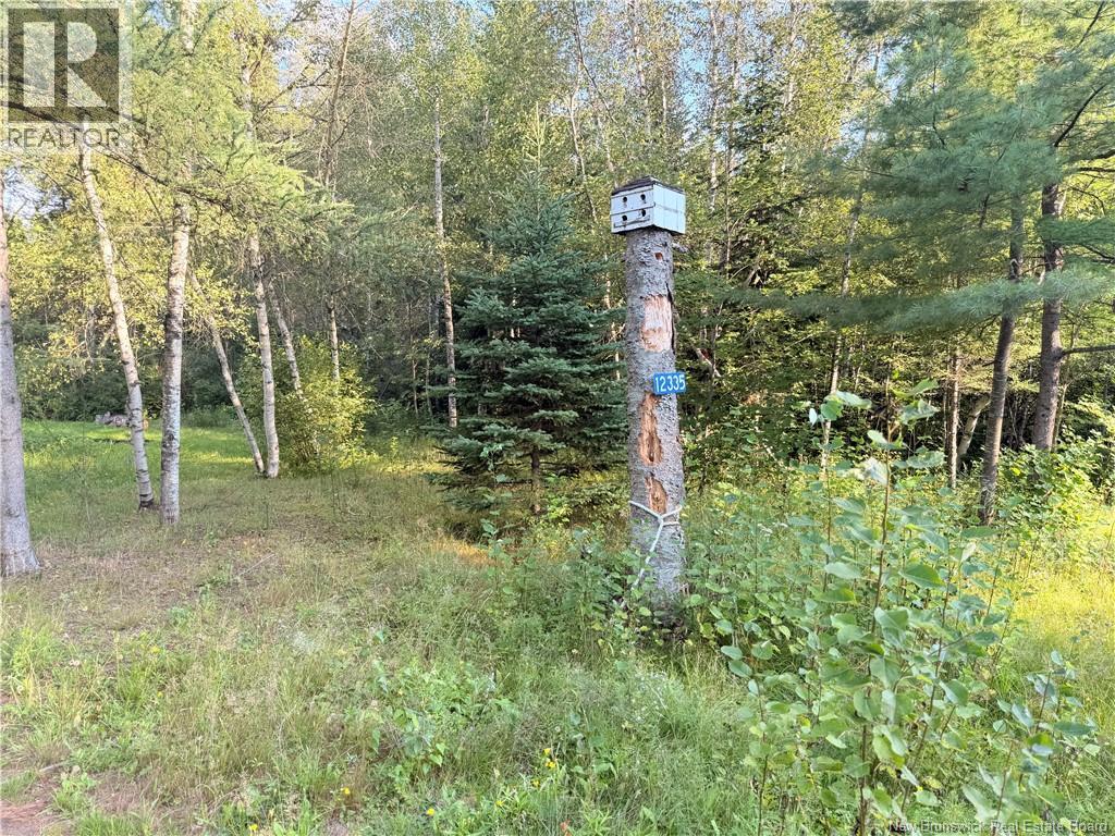 12335 Rte 126, Murray Settlement, New Brunswick