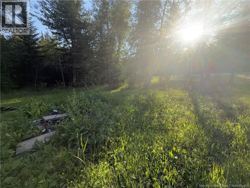 12335 Rte 126, Murray Settlement, New Brunswick  E4Y 2T6 - Photo 10 - NB146601