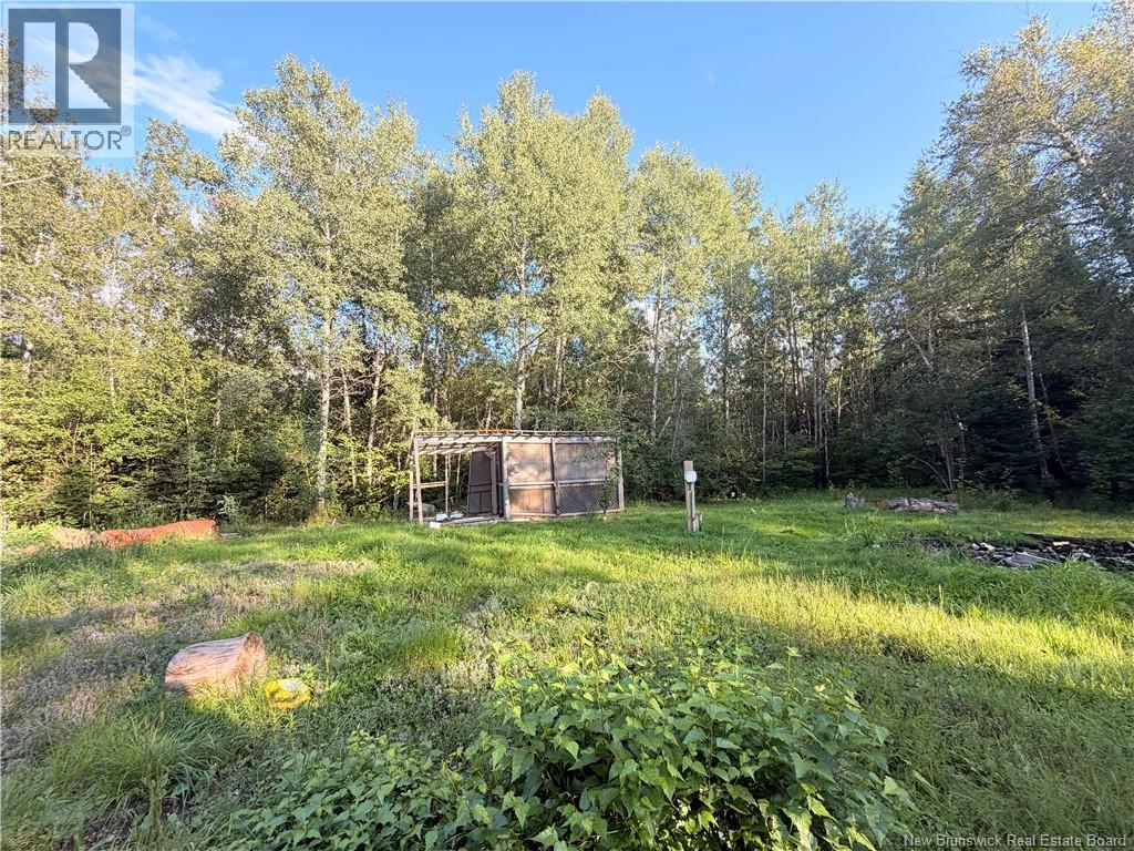 12335 Rte 126, Murray Settlement, New Brunswick  E4Y 2T6 - Photo 3 - NB146601