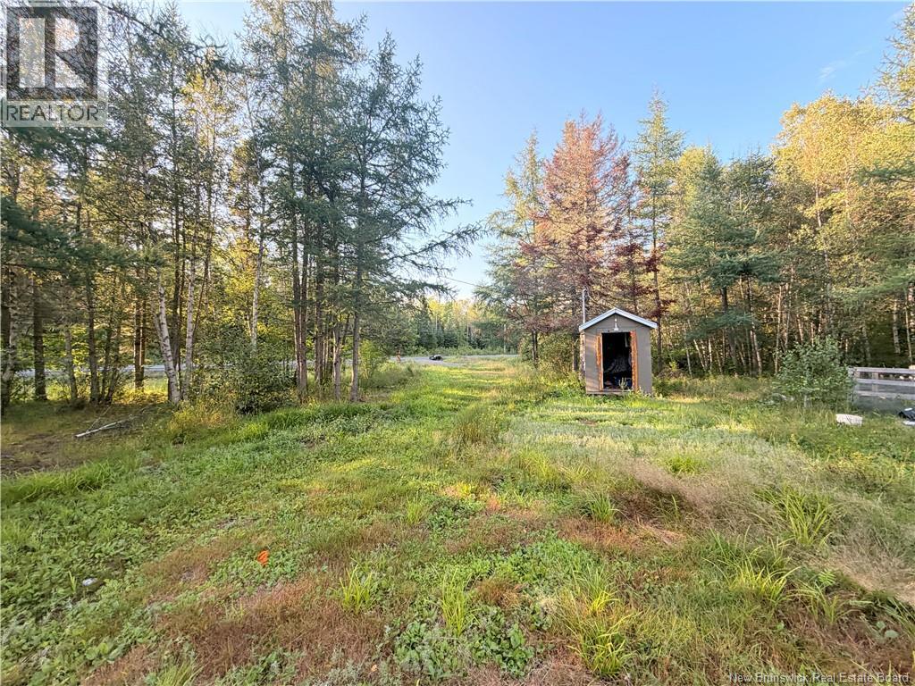 12335 Rte 126, Murray Settlement, New Brunswick  E4Y 2T6 - Photo 4 - NB146601