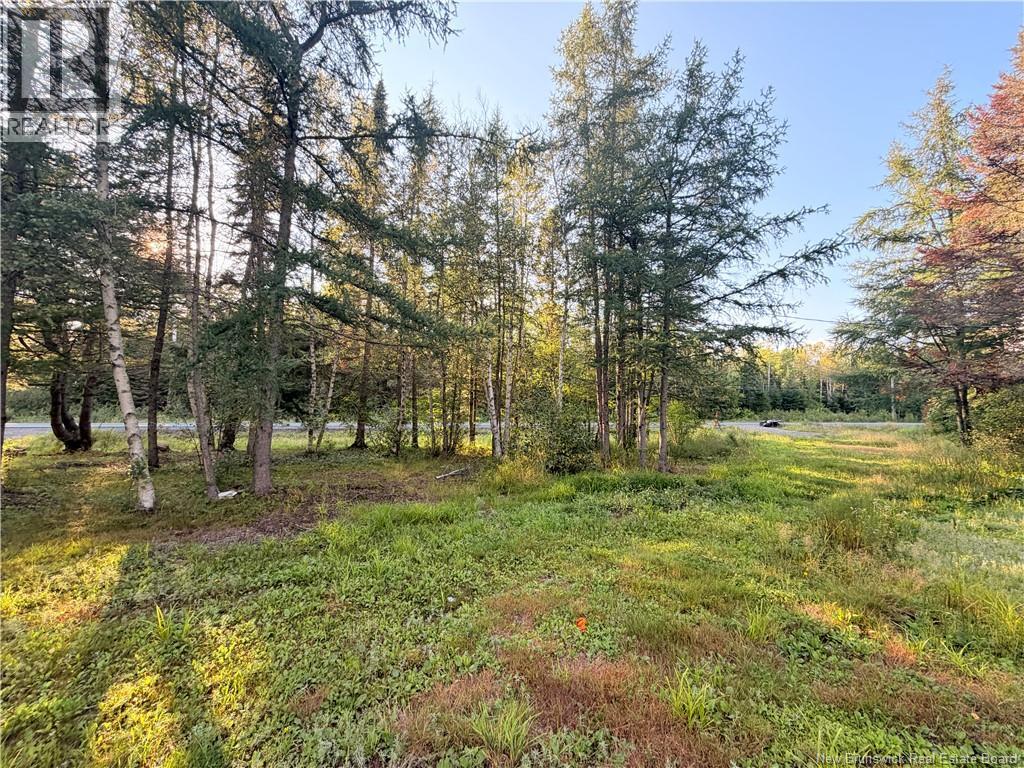 12335 Rte 126, Murray Settlement, New Brunswick  E4Y 2T6 - Photo 5 - NB146601