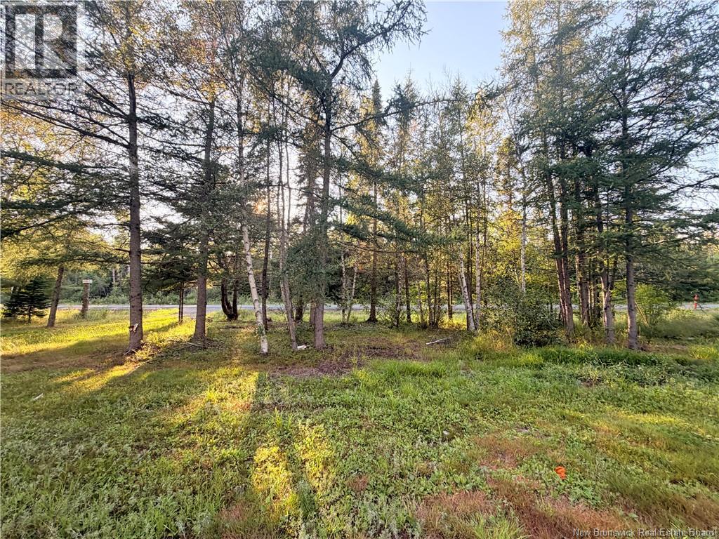 12335 Rte 126, Murray Settlement, New Brunswick  E4Y 2T6 - Photo 6 - NB146601
