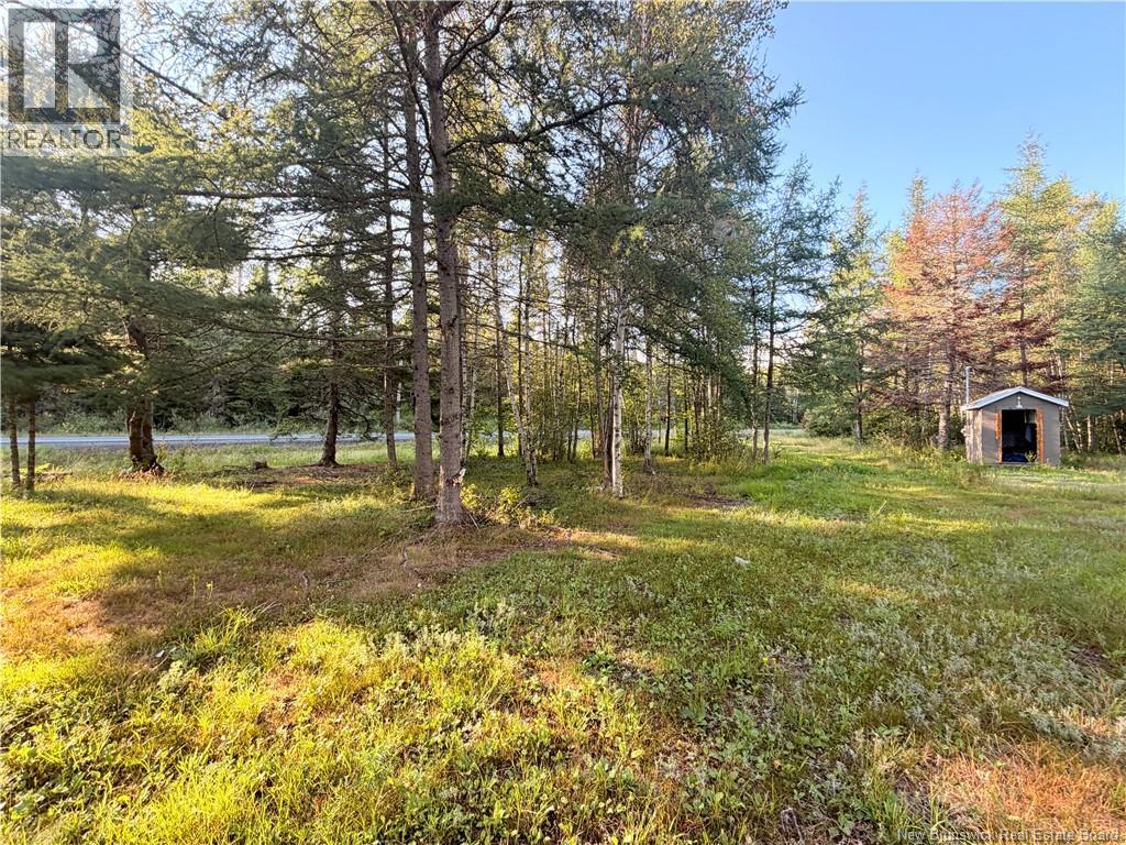 12335 Rte 126, Murray Settlement, New Brunswick  E4Y 2T6 - Photo 9 - NB146601